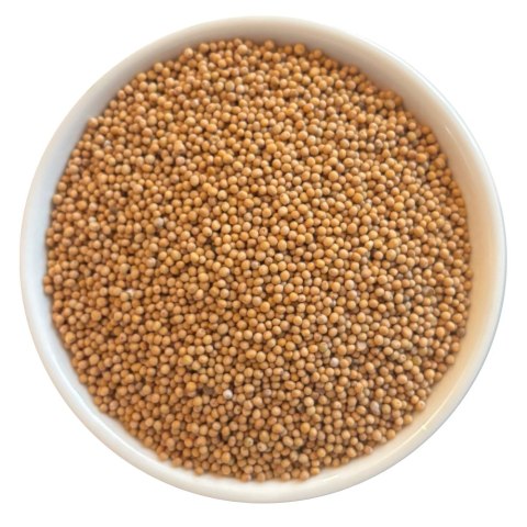 Gorczyca suszona ziarno 500g