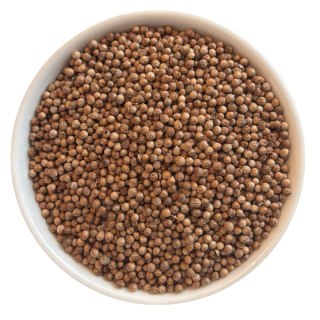 Kolendra suszona ziarno 100 g x 5 szt.